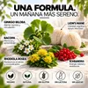 Spray Memoria & Focus | Melena de León, Bacopa, Ginkgo, Vista previa de la imagen del producto 3