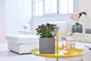 LECHUZA-Tafelvaas CANTO Stone 14, steengrijs | Plantenpot Productafbeelding-voorbeeld 28