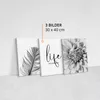 Muralo Leinwand Bilder Set 3 Bilder 30x40cm BLUME 3D Feder Produktbild-Vorschau 3