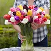 Bloomique - Mélange de 20 - Tulipa Rainbow Mix - Bulbes de Voir les images du produit 6