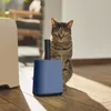 A cat sits on a wooden floor next to a blue litter scoop with a holder and a beige object. Produktbild-Vorschau