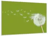 Wallario Wandbild Pusteblume auf der Wiese mit fliegenden Produktbild-Vorschau 2