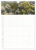 Familienkalender - Das Elbsandsteingebirge (Wandkalender Produktbild-Vorschau 13
