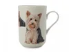 PETS Becher Yorkshire Terrier Hund, Bone China Porzellan, Produktbild-Vorschau 4