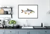 MuchoWow® MuchoWow® Gerahmtes Poster Fisch - Karpfen - Produktbild-Vorschau 4