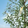 Kunstplant Olijboom, 210 cm – Realistische plant voor Productafbeelding-voorbeeld 6