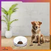 A dog sits next to an automatic pet feeder and a potted plant in a room with a concrete wall and wooden floor. Anteprima dell’immagine prodotto