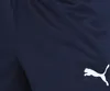 Puma Trainingshose für Herren, Größe:L, Farbe:Blau Produktbild-Vorschau 9