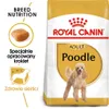 Royal Canin Poodle Adult, Dospělý jedinec, Pudl, Malý (5-10 Náhled obrázku produktu 8