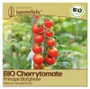 Samenliebe  Tomate Samen | Principe Borghese - rot & Produktbild-Vorschau 1