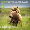 Wildkamera, 36 MP, 2,7K, Wildkamera, 0,2 Sek. Auslösezeit, Produktbild-Vorschau 2
