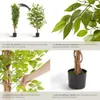 Ficus artificiel FIDA à l'aspect naturel - 120 cm Voir les images du produit 4