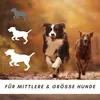Supravit Kälberohren für Hunde getrocknet 1kg | Produktbild-Vorschau 6