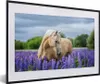 MuchoWow® MuchoWow® Gerahmtes Poster Pferd - Blumen - Lila Produktbild-Vorschau 1