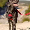 Hundegeschirr für große Hunde (XL, Rot) – Atmungsaktives, Produktbild-Vorschau 4