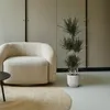 Dračí strom - Dracaena marginata "Magenta" - Karafiát - Náhled obrázku produktu 4