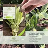 Salbei Samen - Heilkräuter Saatgut aus biologischem Anbau Produktbild-Vorschau 2