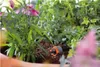 Gardena 8316-29 Produktbild-Vorschau 3