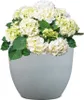 Scheurich Firenze 60, Pflanzgefäß/Blumentopf/Pflanzkübel, Produktbild-Vorschau 4