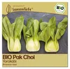 Samenliebe  Pak Choi Samen | Yorokobi - samenfestes  Produktbild-Vorschau 1