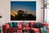 MuchoWow® Poster Silhouette von Bäumen bei Sonnenuntergang Produktbild-Vorschau 2