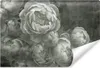 Muralo Vlies Fototapete graue BLUMEN Pfingstrosen Pflanzen Produktbild-Vorschau 1