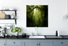 MuchoWow® Poster Grün getöntes Bild des Regenwaldes von Produktbild-Vorschau 3