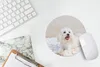 MuchoWow® Mauspad Mousepad Ein Malteser Hund liegt auf Produktbild-Vorschau 5