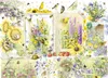 Cobble Hill Nature Journal: Summer, 1000 Stück(e) Produktbild-Vorschau 1