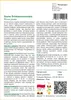SAFLAX - Sosna Śródziemnomorska - 6 Nasiona - Pinus pinea Podgląd zdjęcia produktu 3