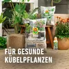 COMPOGRANUPLANT® INDOOR Granulés pour plantes 6 litres Voir les images du produit 9