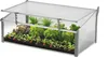 A cold frame greenhouse filled with young plants and vegetables. Anteprima dell’immagine prodotto
