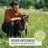 REAVET Zeckenschutz Hund, Zeckenspray 500ml - Zeckenmittel Produktbild-Vorschau 3