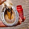 Kevin Bacons Hoof Solution 150 g, Größe:150g Produktbild-Vorschau 11