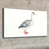 Coloray Bild aus Leinwand 100x50 Leinwand Dekoration - Tier Produktbild-Vorschau 2