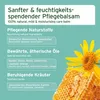 AniForte Pfotenbalsam Hund 60ml – Natürlicher Pfotenschutz Produktbild-Vorschau 4
