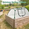 Garten-Pflanzenabdeckung, wasserdichtes Mini-Gewächshaus, Produktbild-Vorschau 6