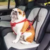 A bulldog wearing a red harness is sitting in the passenger seat of a car. Produktbild-Vorschau