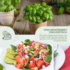 Basilikum Samen Sweet Genovese - Küchenkräuter Saatgut aus Produktbild-Vorschau 3