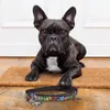 Cerdá Marvel Hundeleine für kleine Hunde, 1,2 m, offizielle Produktbild-Vorschau 2
