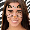 Oblique Unique Katze Gesicht Sticker Set Tiergesicht Produktbild-Vorschau 4