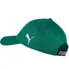 Puma Mützen Liga Cap, 02235604 Produktbild-Vorschau 2