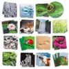 Mémoire vive. Structures sensorielles naturelles en 3D / Voir les images du produit 2