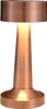 (Rose Gold) Kovová noční lampička, noční lampička s USB Náhled obrázku produktu 1