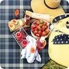 EBRAN TRADE Picknickdecke, Marineblau Beige, 200x200 cm, Produktbild-Vorschau 14