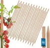 KOTARBAU® 25 st Tomatenstokken - Plantenstok - Beukenhout - Productafbeelding-voorbeeld 1