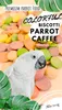 Parrot Caffee - Biscotti - Biscuits pour tous les Voir les images du produit 3