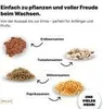 BOXILAND® Saatgut Adventskalender 2025 – 24 Sorten Gemüse, Produktbild-Vorschau 5