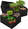 EDIBAZZAR | Gemüsekasten 60x60x30 cm, Kräuterbeet mit Produktbild-Vorschau 2