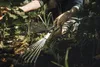 Xact Hand-Fächerbesen (schwarz/edelstahl) Produktbild-Vorschau 9
